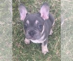 Small #1 Breeder Profile image