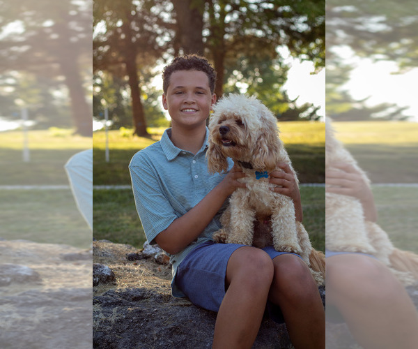 Medium Photo #18  Breeder Profile in NIXA, MO, USA