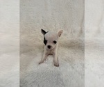 Small #5 Breeder Profile image
