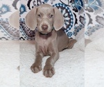 Small #5 Breeder Profile image
