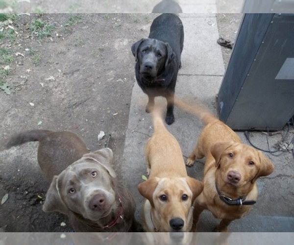 Medium Photo #1  Breeder Profile in WASHINGTON, KS, USA