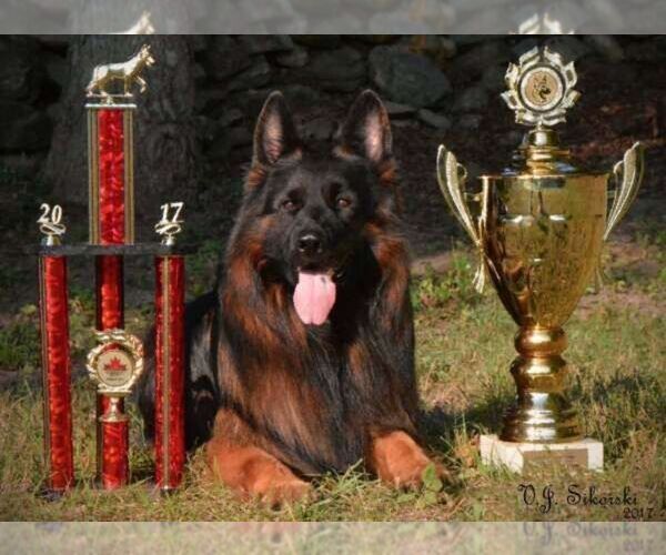 Medium Photo #1  Breeder Profile in FOSTER, RI, USA