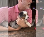 Small #7 Breeder Profile image