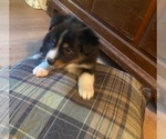 Small #14 Breeder Profile image