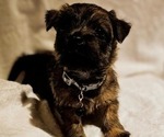 Small #5 Breeder Profile image