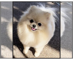 Small #13 Breeder Profile image