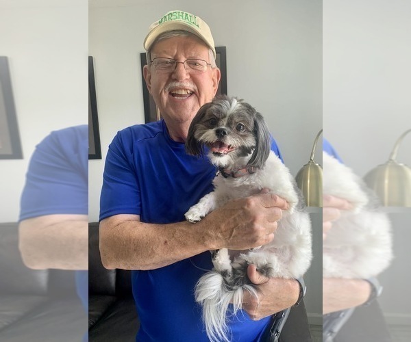 Medium Photo #7  Breeder Profile in S CHARLESTON, WV, USA