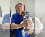 Small #6 Breeder Profile image