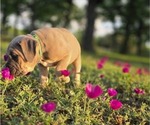 Small #15 Breeder Profile image