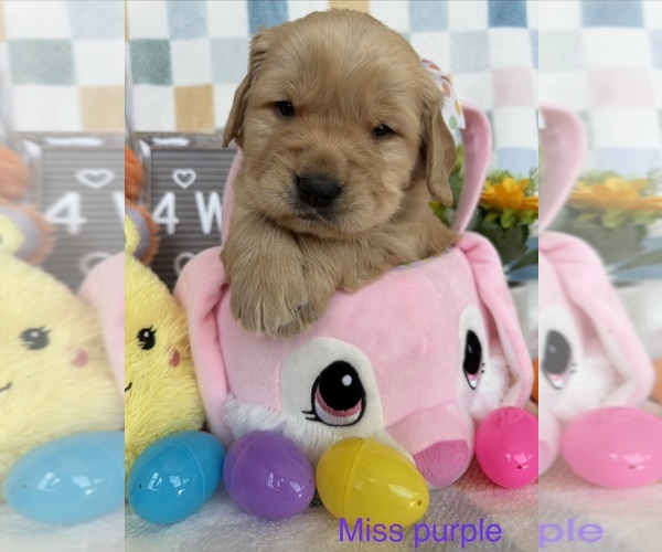 Medium Photo #2  Breeder Profile in TONASKET, WA, USA