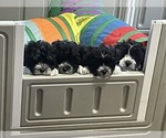 Small breeder photo