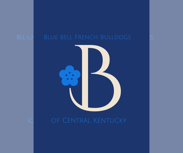 Medium Photo #1  Breeder Profile in FORD, KY, USA