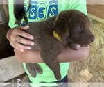 Small #7 Breeder Profile image