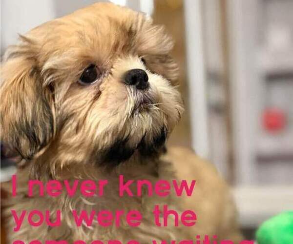 Medium Photo #19  Breeder Profile in SANDOWN, NH, USA