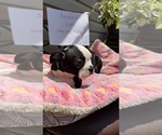 Small #3 Breeder Profile image