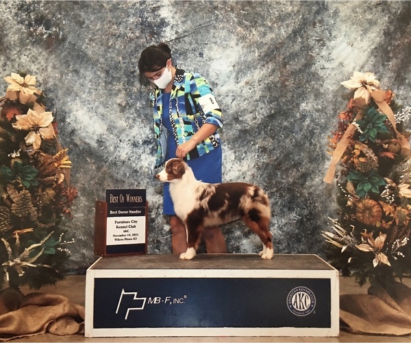 Medium Photo #1  Breeder Profile in SPENCER, VA, USA