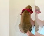 Small #4 Breeder Profile image