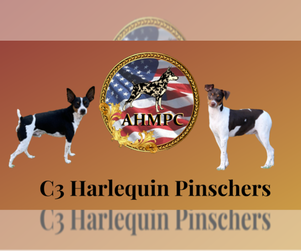Medium Photo #1  Breeder Profile in COPPERAS COVE, TX, USA