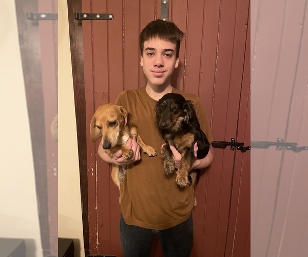 Medium Photo #2  Breeder Profile in MONONA, IA, USA