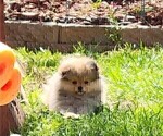 Small #5 Breeder Profile image