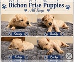 Small breeder photo