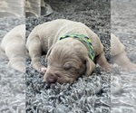 Small #25 Breeder Profile image