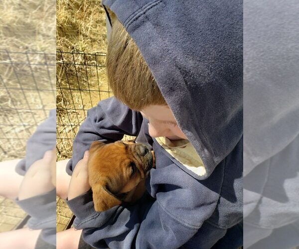Medium Photo #13  Breeder Profile in FORSYTH, MT, USA