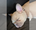 Small #7 Breeder Profile image