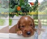 Small #9 Breeder Profile image