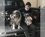 Small #91 Breeder Profile image