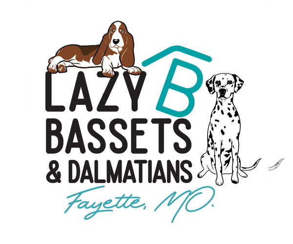Medium Photo #1  Breeder Profile in FAYETTE, MO, USA