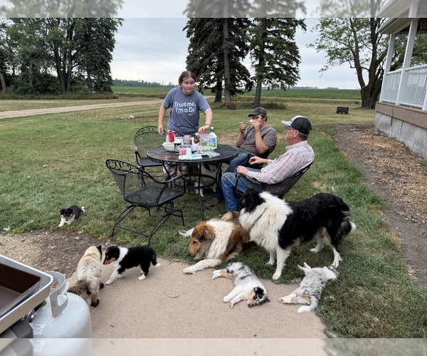 Medium Photo #23  Breeder Profile in DAZEY, ND, USA