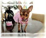 Small #1 Breeder Profile image