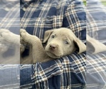 Small #7 Breeder Profile image