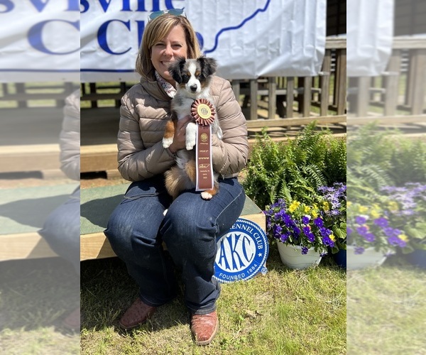 Medium Photo #4  Breeder Profile in NOLENSVILLE, TN, USA