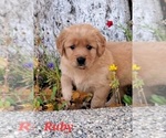 Small #11 Breeder Profile image