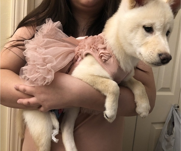 Medium Photo #1  Breeder Profile in ROLAND, AR, USA