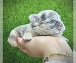 Small #11 Breeder Profile image
