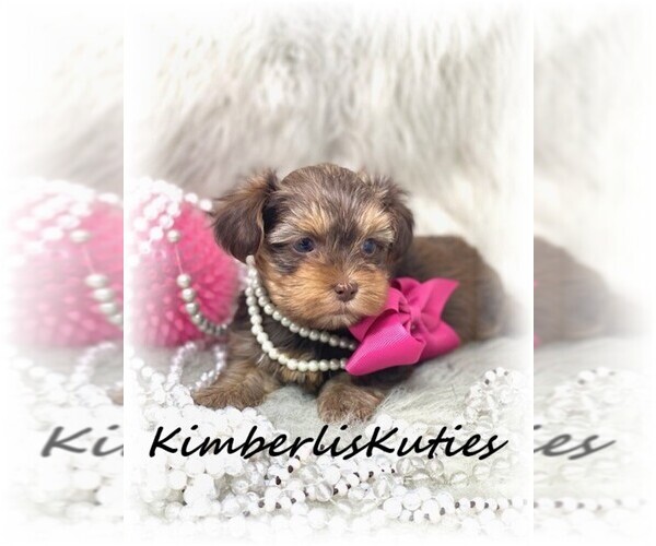 Medium Photo #6  Breeder Profile in LIPAN, TX, USA