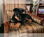 Small #7 Breeder Profile image