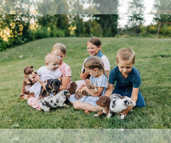 Medium Photo #1  Breeder Profile in BONNERS FERRY, ID, USA