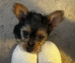 Small #14 Breeder Profile image