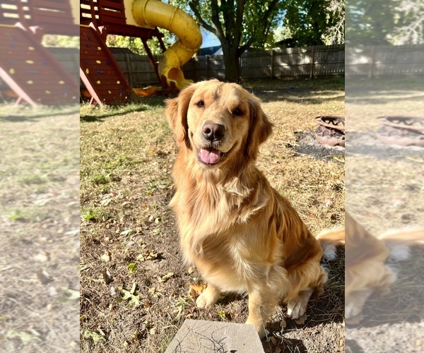 Medium Photo #2  Breeder Profile in JEFFERSON, IA, USA