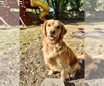 Small #1 Breeder Profile image
