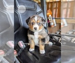 Small #13 Breeder Profile image