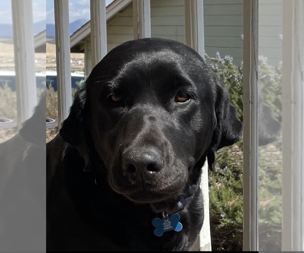 Medium Photo #24  Breeder Profile in TEMECULA, CA, USA