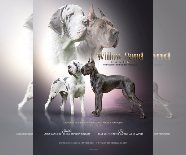 Medium Photo #1  Breeder Profile in NEW BERLIN, NY, USA