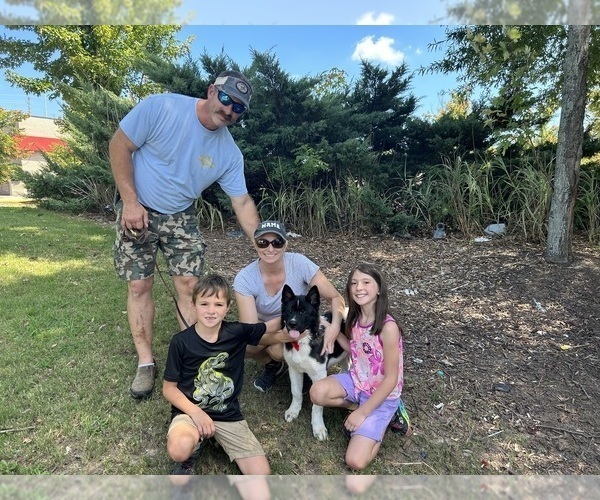 Medium Photo #40  Breeder Profile in MCDONOUGH, GA, USA