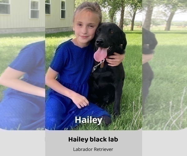 Medium Photo #5  Breeder Profile in FREDERICKSBG, OH, USA