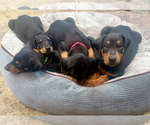 Small #5 Breeder Profile image